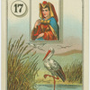Queen (Stork)