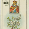 King (Flowers)