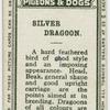 Silver dragoon.