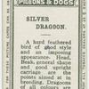 Silver dragoon.