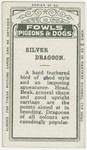 Silver dragoon.