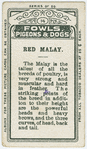 Red Malay.