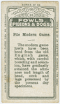 Pile modern game.