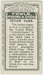 Indian game.