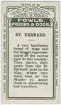St. Bernard.