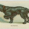 Retriever.