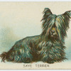 Skye terrier.