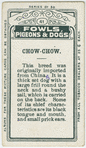 Chow-chow.