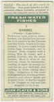 Barbel (Family: Cyprinidae).