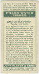 Bass or sea-perch (Family: Serranidae).