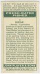 Bleak (Family: Cyprinidae).