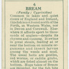 Bream (Family: Cyprinidae).