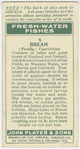 Bream (Family: Cyprinidae).