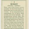 Burbot (Family: Gadidae).