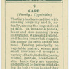 Carp (Family: Cyprinidae).