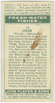 Char (Family Salmonidae)