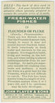 Flounder or fluke (Family: Pleuronectidae).