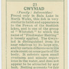 Gwyniad (Family: Salmonidae).