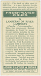 Lamperns or river lampreys (Family: Petromyzonidae).