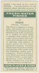 Perch (Family: Percidae).
