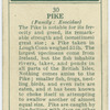 Pike (Family: Esocidae).