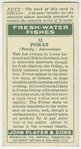 Powan (Family: Salmonidae).