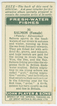 Salmon (Female) (Family: Salmonidae).
