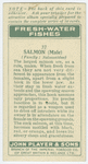 Salmon (Male) (Family: Salmonidae).