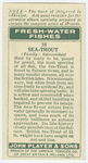 Sea-trout (Family: Salmonidae).