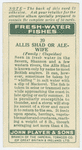 Allis shad or ale-wife (Family: Clupeidae).