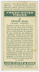 Twaite shad (Family: Clupeidae).