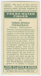 Three-spined stickleback (Family: Gasterosteidae).