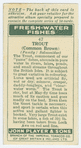 Trout (Common brown) (Family: Salmonidae).