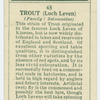 Trout (Loch leven) (Family: Salmonidae).