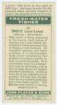 Trout (Loch leven) (Family: Salmonidae).