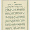Trout (Rainbow) (Family: Salmonidae).