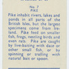 Pike.
