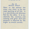 Brook trout.
