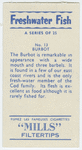 Burbot.