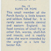 Ruffe or pope.