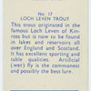 Loch leven trout.