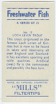 Loch leven trout.