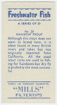 Rainbow trout.