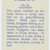 Gudgeon.