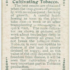 Cultivating tobacco.