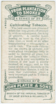 Cultivating tobacco.