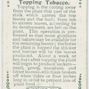 Topping tobacco.