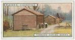 Tobacco curing barns.