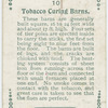 Tobacco curing barns.