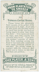 Tobacco curing barns.